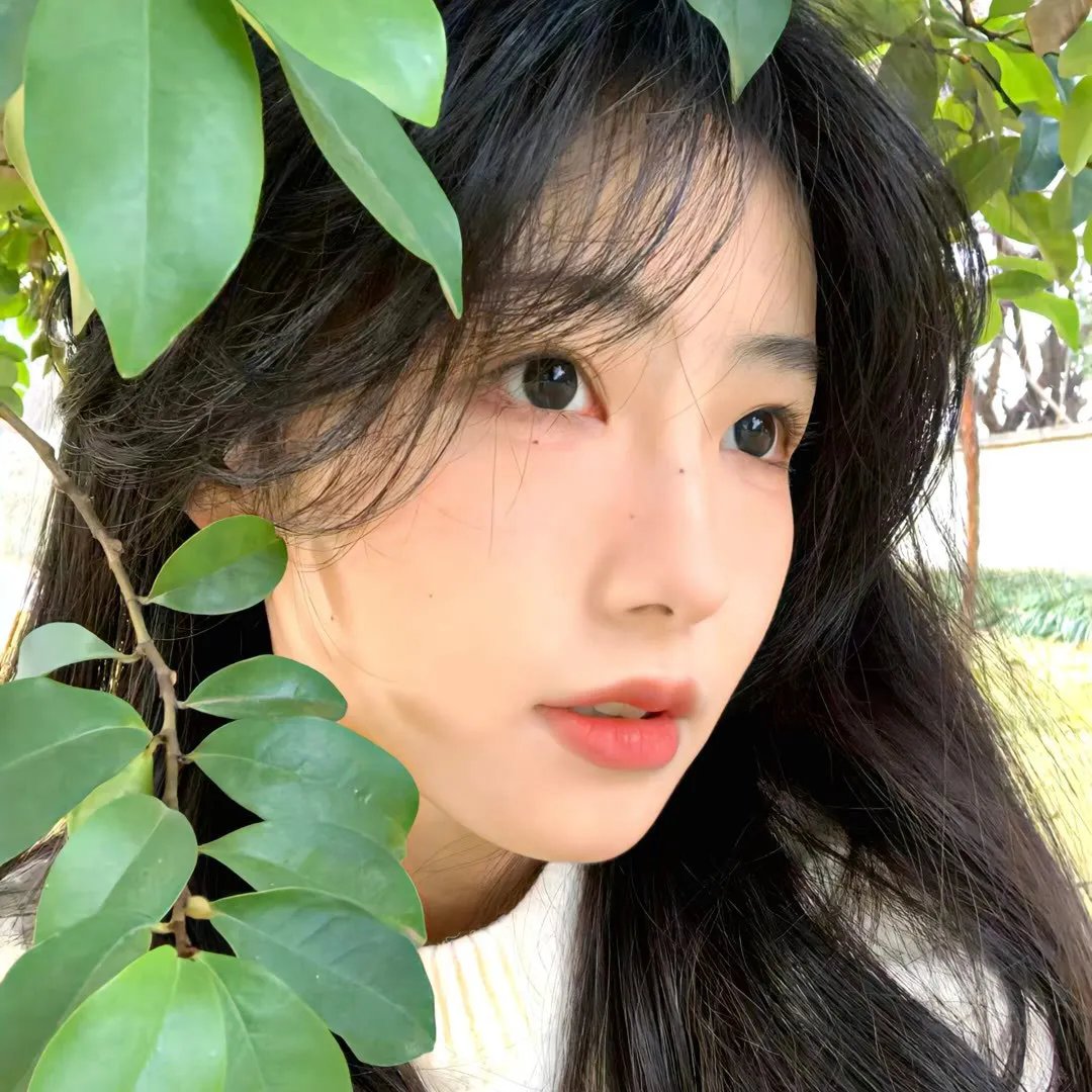 夜宴 在线观看