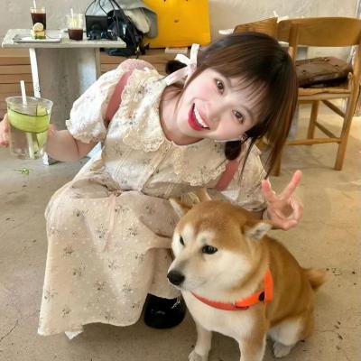 圆圈 在线观看