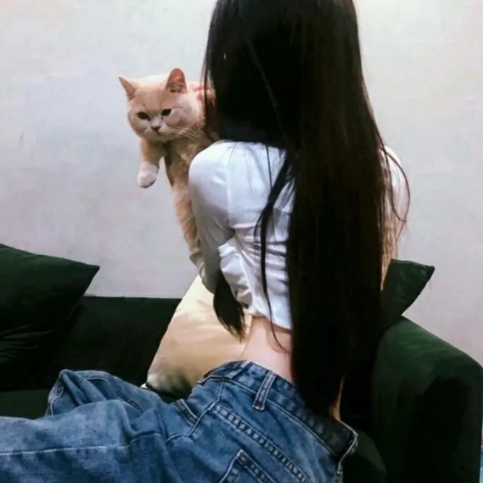 不夜天 在线观看